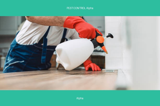 PEST CONTROL Alpha